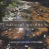 Natural Guides - Calm Mountain Stream